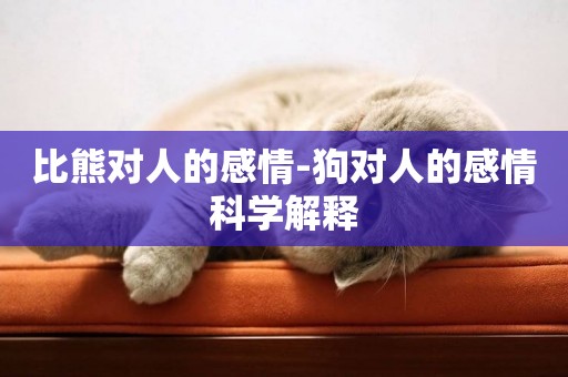 比熊對人的感情-狗對人的感情科學解釋