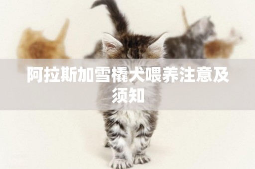 阿拉斯加雪橇犬喂養注意及須知