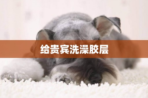 給貴賓洗澡膠層