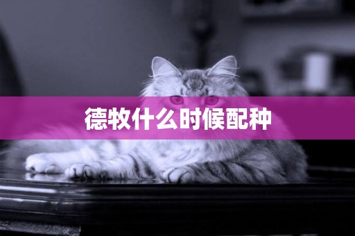 德牧什么時候配種