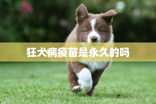 狂犬病疫苗是永久的嗎