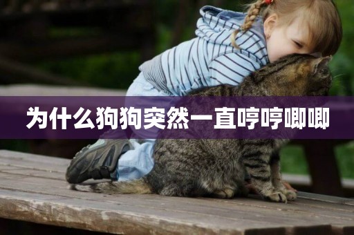 為什么狗狗突然一直哼哼唧唧