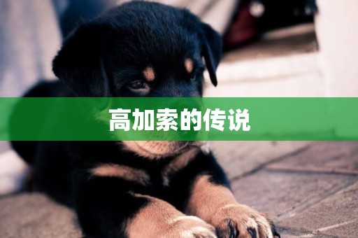 高加索的傳說