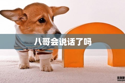 八哥會說話了嗎