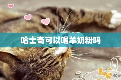 哈士奇可以喝羊奶粉嗎