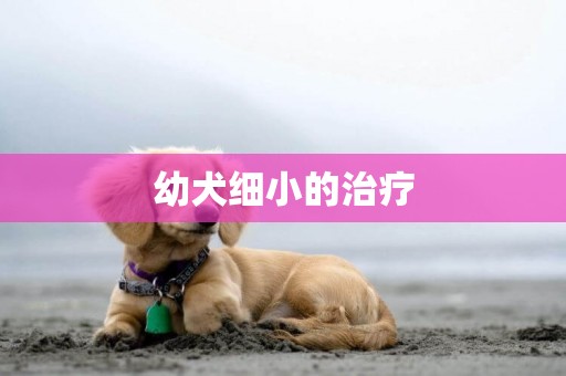 幼犬細小的治療