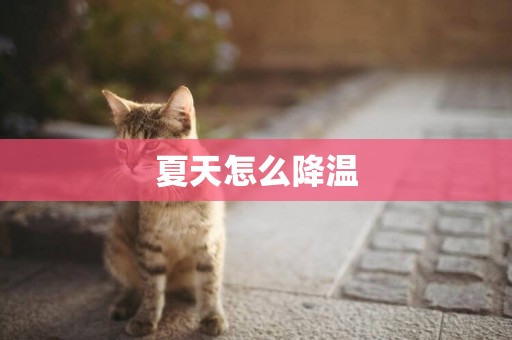 夏天怎么降溫