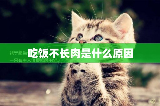 吃飯不長肉是什么原因