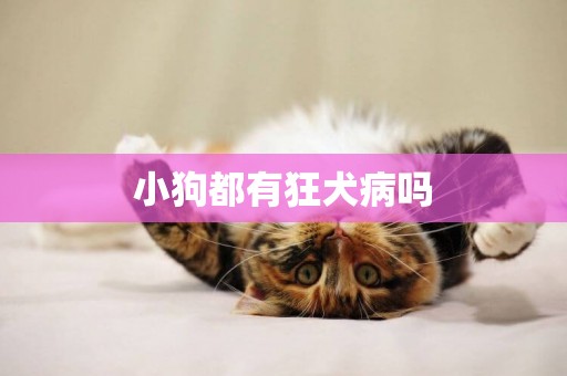 小狗都有狂犬病嗎