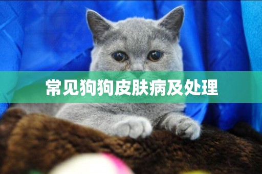 常見狗狗皮膚病及處理
