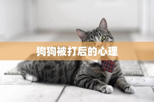 狗狗被打后的心理
