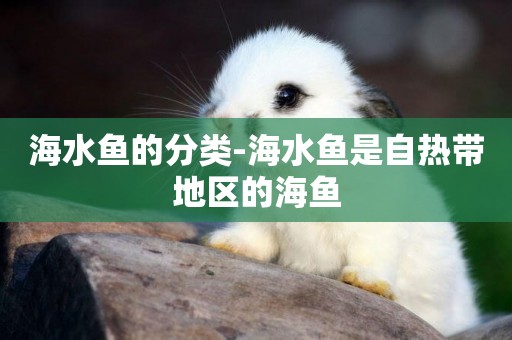 海水魚的分類-海水魚是自熱帶地區的海魚