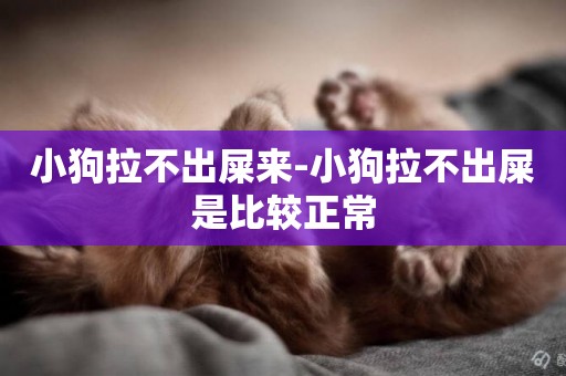 小狗拉不出屎來-小狗拉不出屎是比較正常