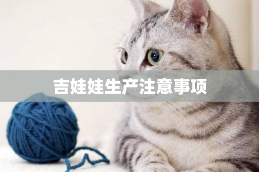 吉娃娃生產注意事項