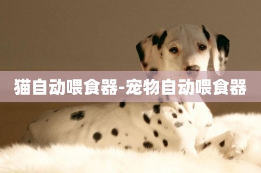 貓自動喂食器-寵物自動喂食器