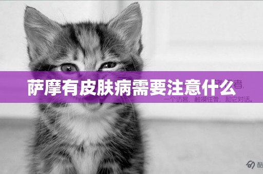 薩摩有皮膚病需要注意什么