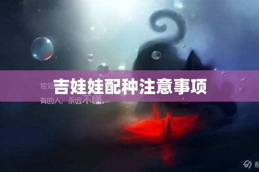 吉娃娃配種注意事項