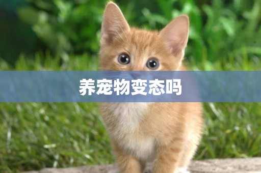 養寵物變態嗎