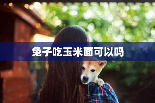兔子吃玉米面可以嗎