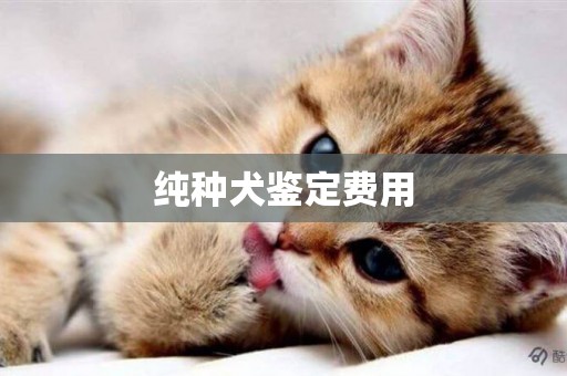 純種犬鑒定費用