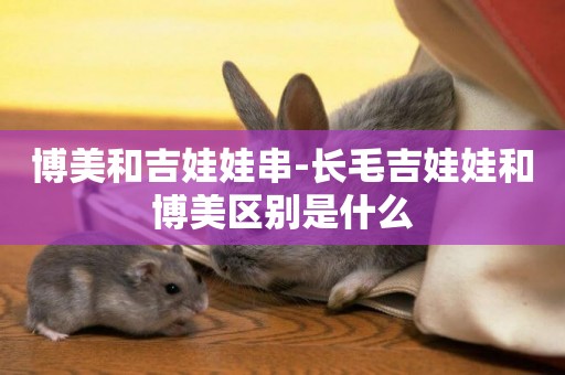 博美和吉娃娃串-長毛吉娃娃和博美區別是什么