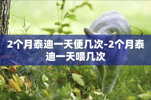 2個月泰迪一天便幾次-2個月泰迪一天喂幾次