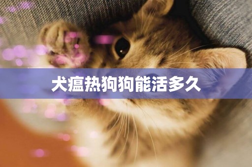 犬瘟熱狗狗能活多久