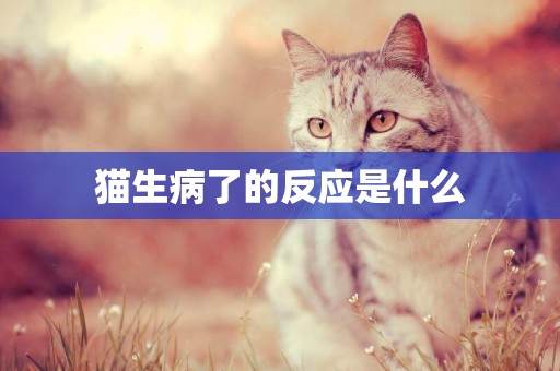 貓生病了的反應是什么