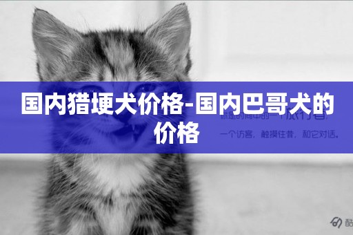 國內獵埂犬價格-國內巴哥犬的價格