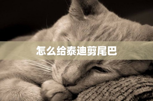 怎么給泰迪剪尾巴