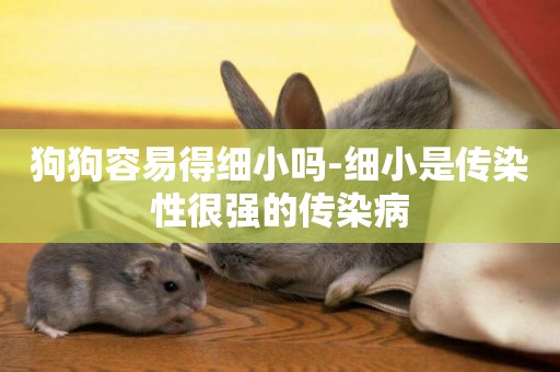狗狗容易得細小嗎-細小是傳染性很強的傳染病