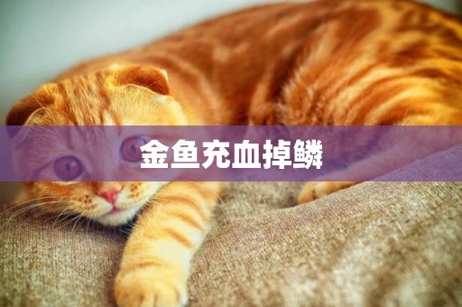 金魚充血掉鱗