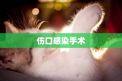 傷口感染手術