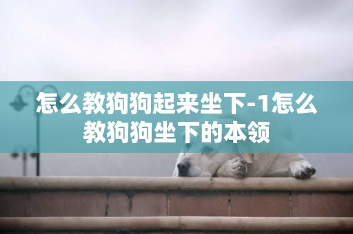 怎么教狗狗起來坐下-1怎么教狗狗坐下的本領