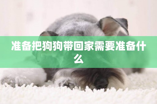 準備把狗狗帶回家需要準備什么