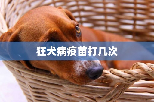 狂犬病疫苗打幾次