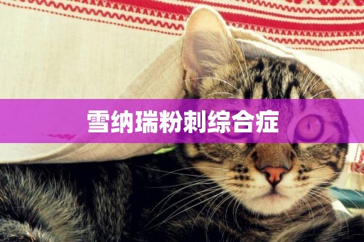 雪納瑞粉刺綜合癥