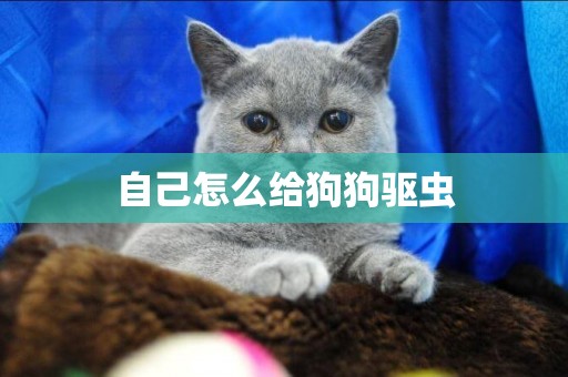 自己怎么給狗狗驅蟲