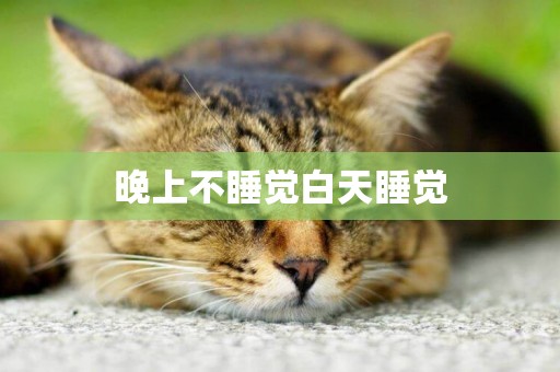 晚上不睡覺白天睡覺