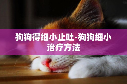 狗狗得細小止吐-狗狗細小治療方法
