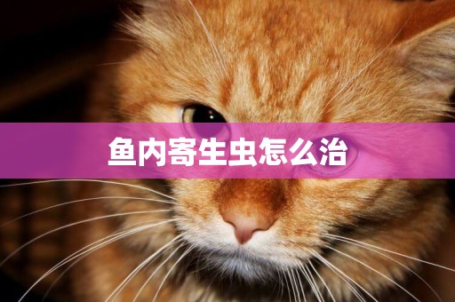魚內寄生蟲怎么治