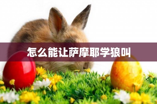 怎么能讓薩摩耶學狼叫