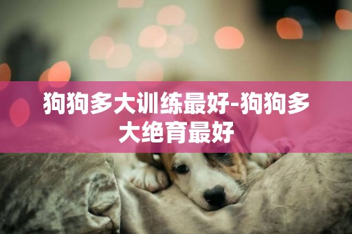 狗狗多大訓練最好-狗狗多大絕育最好