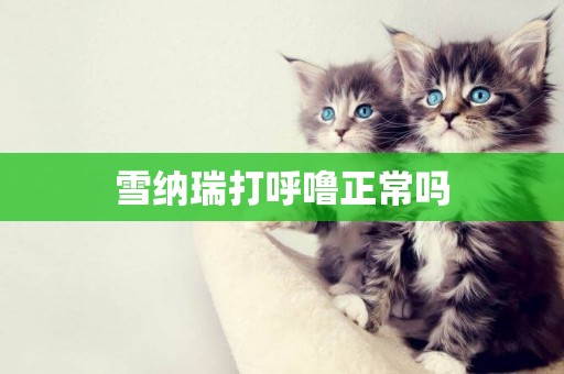 雪納瑞打呼嚕正常嗎