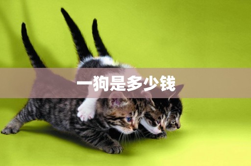 一狗是多少錢