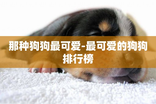 那種狗狗最可愛-最可愛的狗狗排行榜