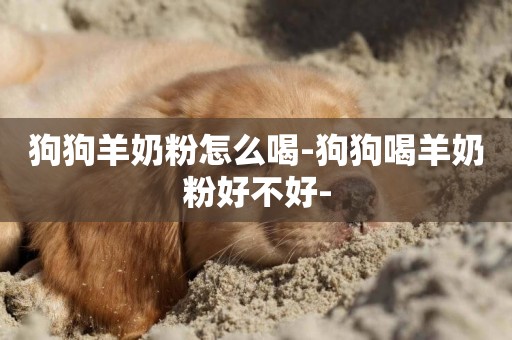 狗狗羊奶粉怎么喝-狗狗喝羊奶粉好不好-