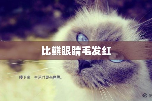 比熊眼睛毛發紅