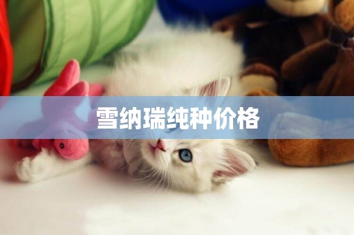 雪納瑞純種價格