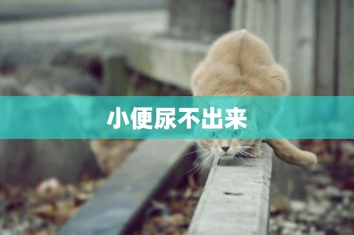 小便尿不出來
